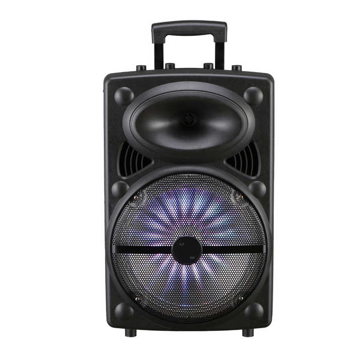 Picture of 12 inches outdoor party speaker