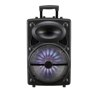 Picture of 12 inches outdoor party speaker