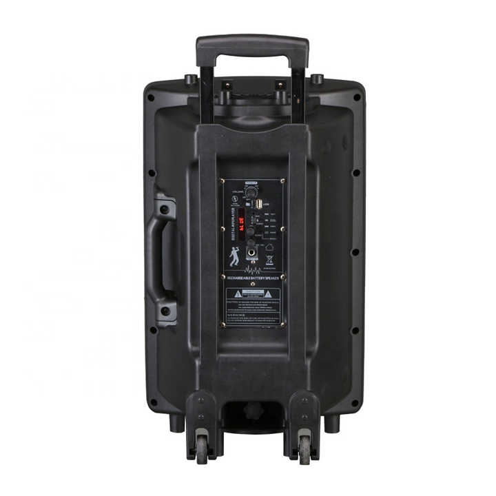 Picture of 12 inches outdoor party speaker