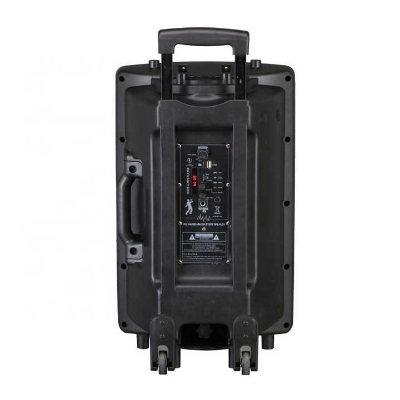 Picture of 12 inches outdoor party speaker