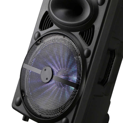 Picture of 12 inches outdoor party speaker