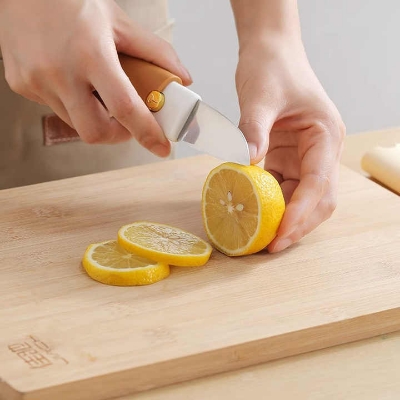 Picture of High Quality Fruit Peeling Knife Outdoor Camping Portable Peeler 2 In 1 Knife And Peeler