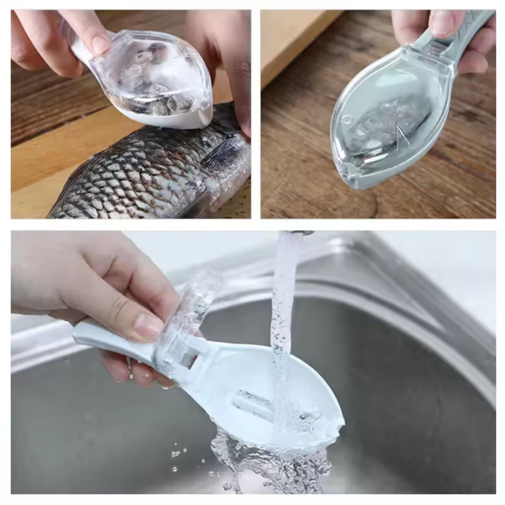 Picture of Fish scale brush | Fish Skin Brush Scraping Fish Scale Brush Grater Quick Disassembly Fish Cleaning Peeling Skin Scraper Scraper Scaler