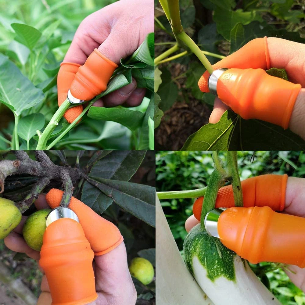 Picture of Finger Cutter 6Pcs Set | vegetable cutter