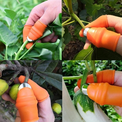 Picture of Finger Cutter 6Pcs Set | vegetable cutter