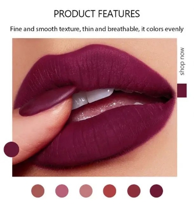 Picture of Handaiyan Matte Finish 6 Pisce Matte Lipstick