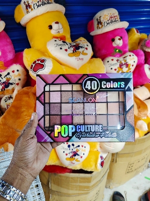 Picture of 40 Color Matte Finish Eyeshadow Pallette