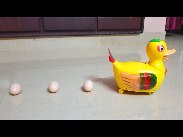 Picture of Duck Lay An Egg Music Toy For Kid