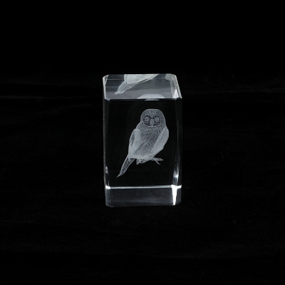 Picture of Crystal Owl Paperweight