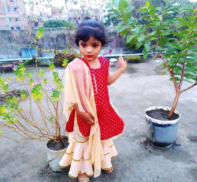 Picture of Sharara party and weeding dress for little baby girl