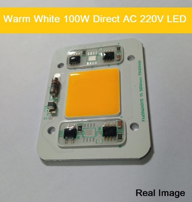 100W COB LED AC 220V Driverless Light White Warm
