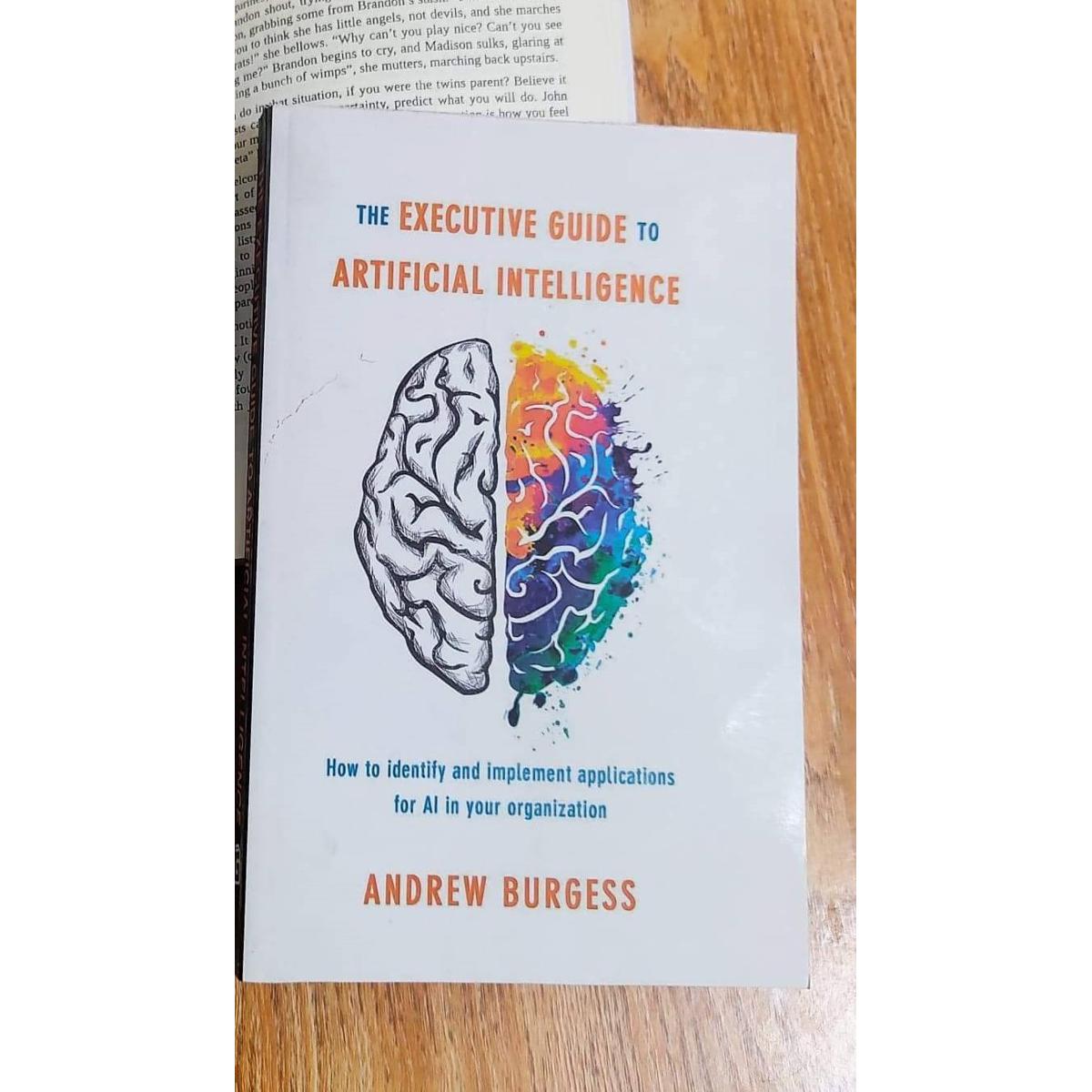 Picture of The Executive Guide to Artificial Intelligence: How to Identify and Implement Applications for AI in Your Organization