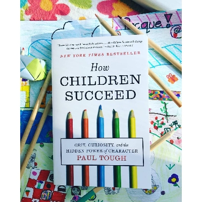 Picture of How Children Succeed by Paul Tough