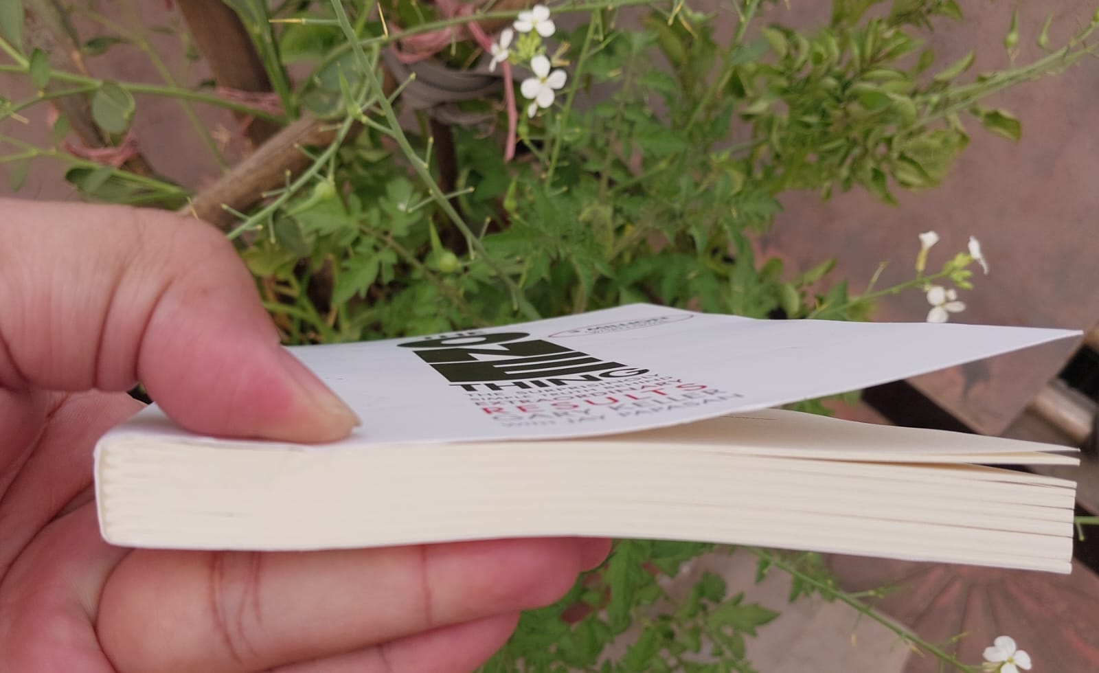 Picture of The ONE Thing: The Surprisingly Simple Truth About Extraordinary Results by Gary Keller (Premium Quality Paperback)