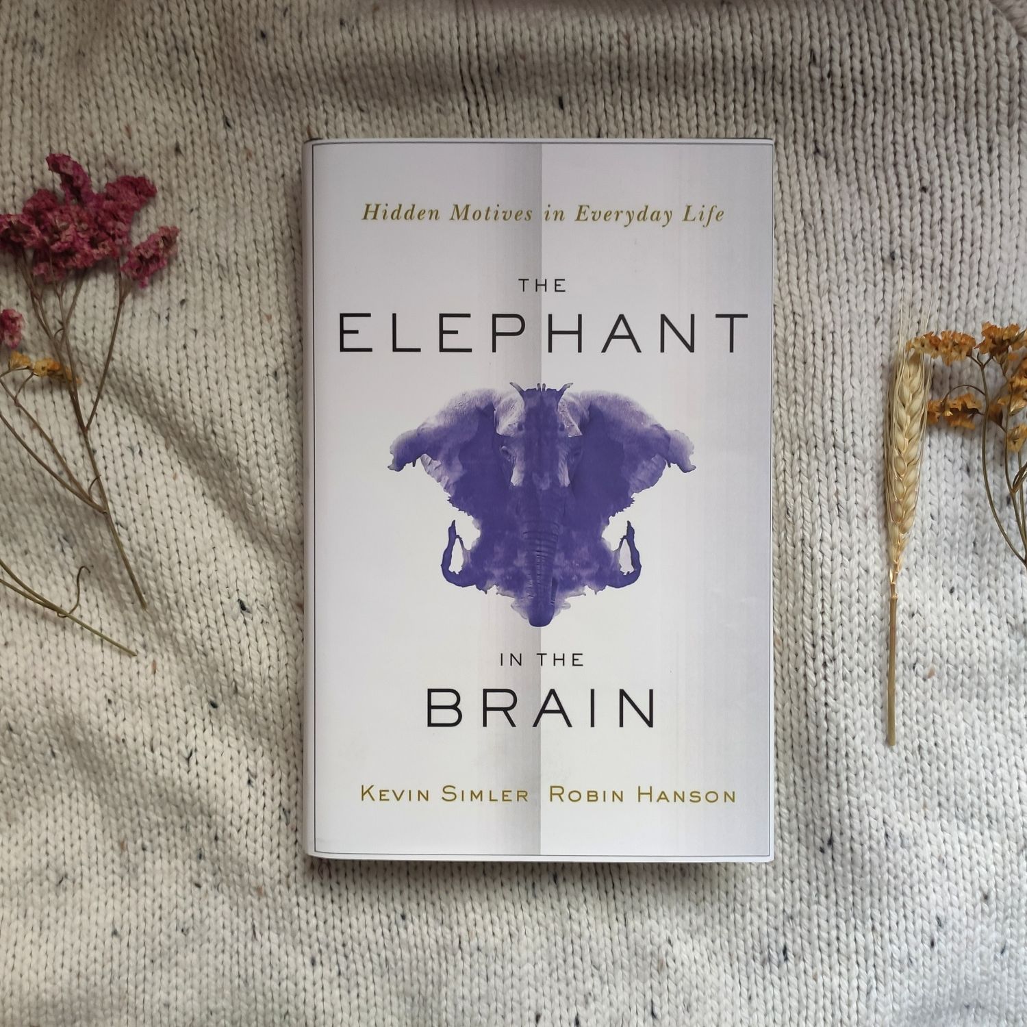 Picture of The Elephant in the Brain by Kevin Simler and Robin Hanson