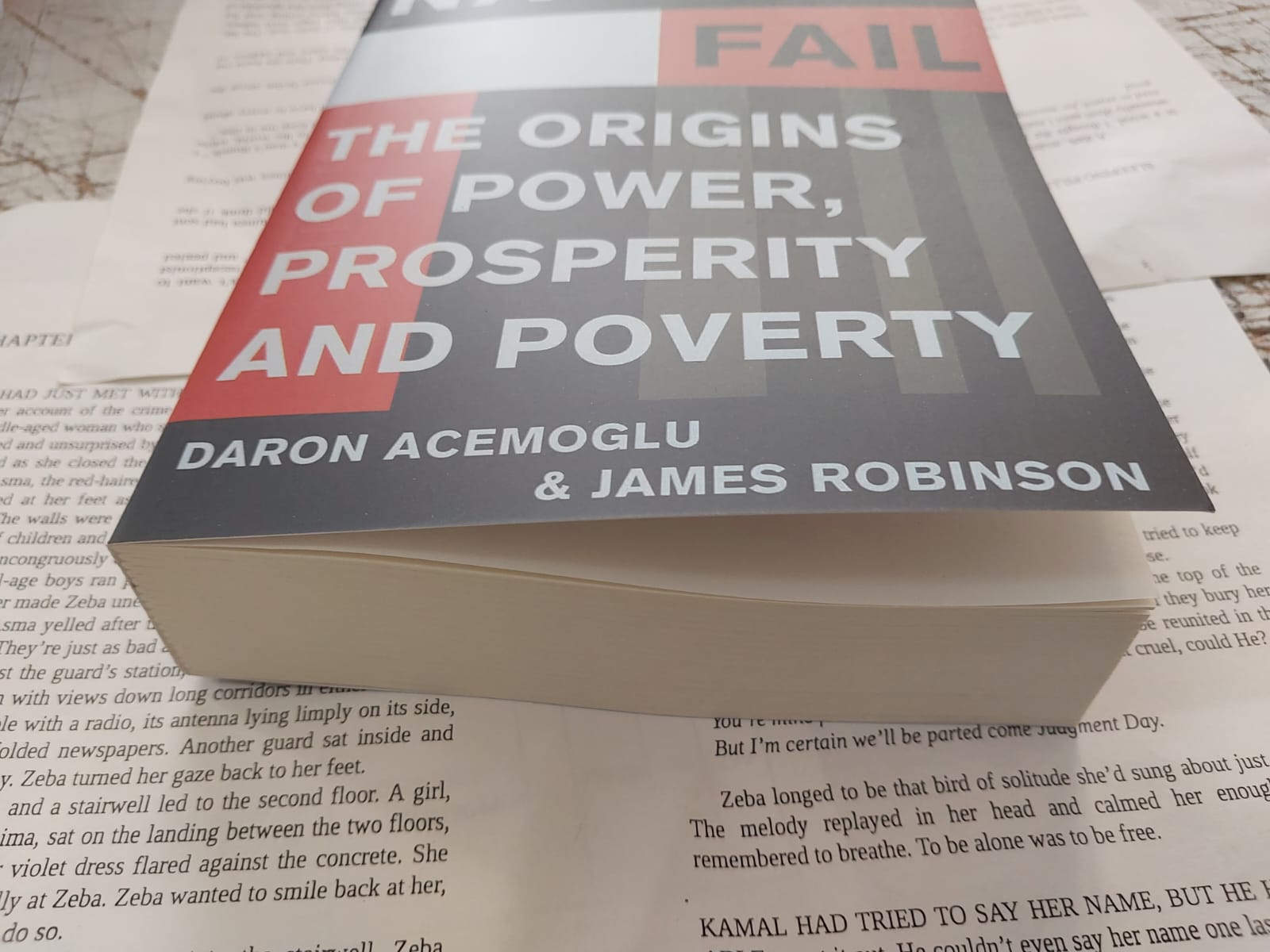 Picture of Why Nations Fail by Daron Acemoglu and James A. Robinson