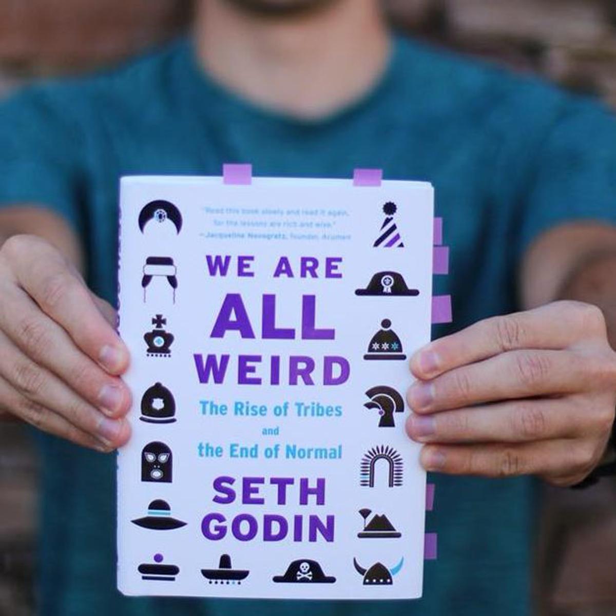 Picture of We Are All Weird Book by Seth Godin (Premium Quality - Paperback)