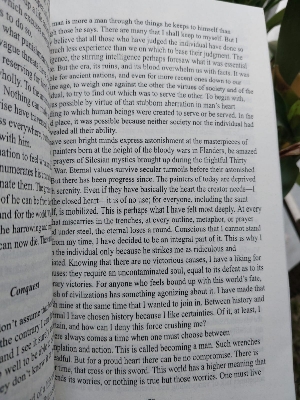 Picture of The Myth of Sisyphus by Albert Camus (Premium Quality Paperback)