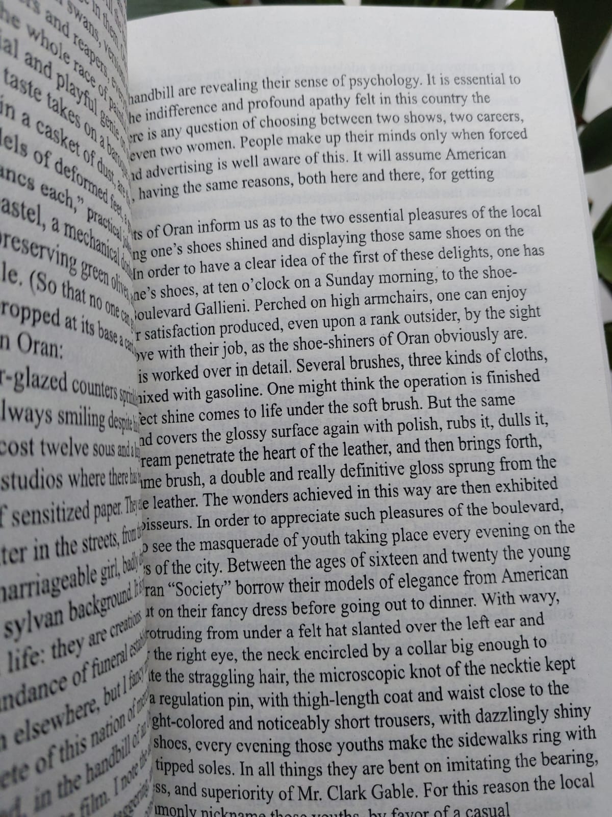 Picture of The Myth of Sisyphus by Albert Camus (Premium Quality Paperback)