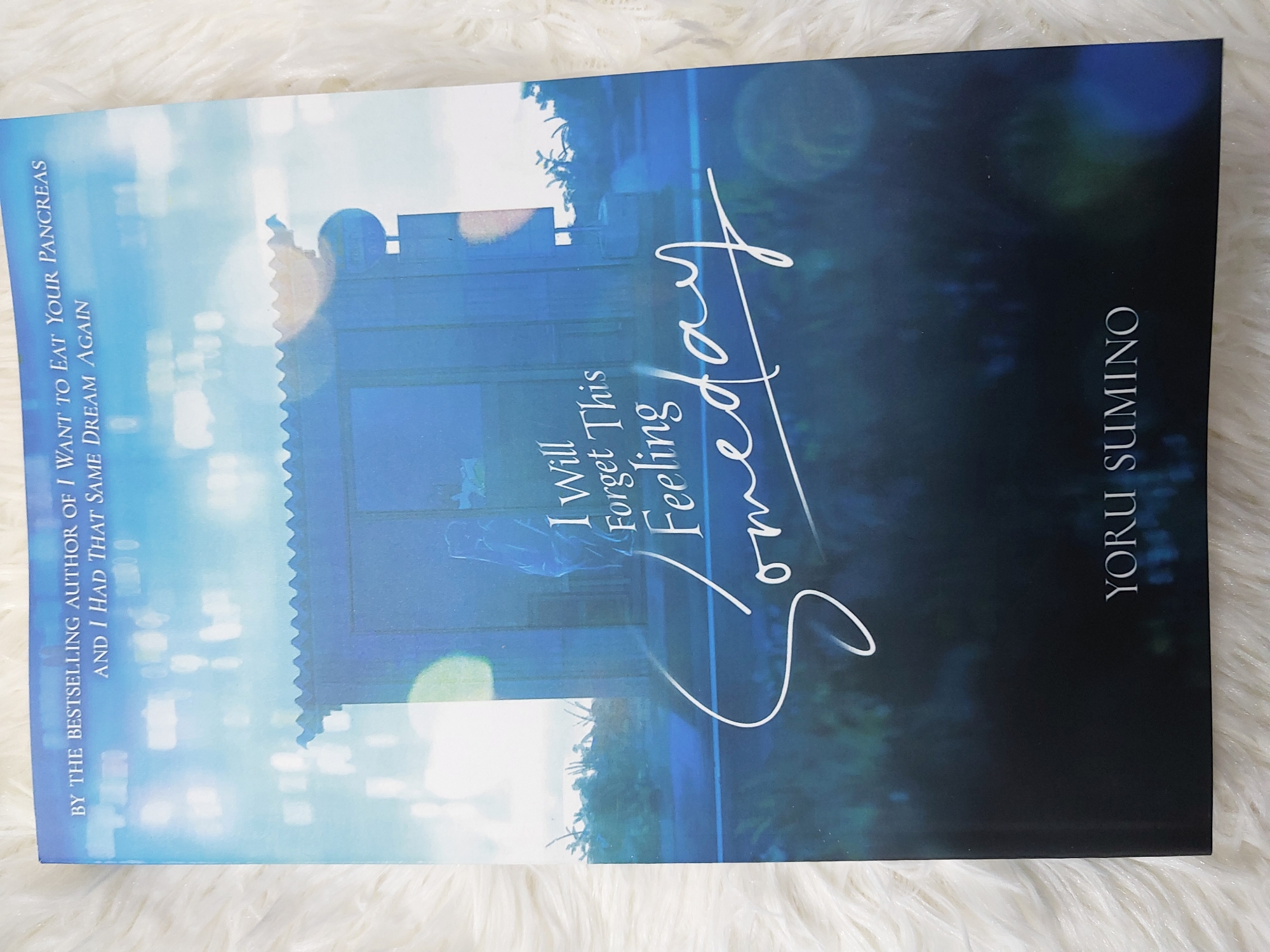 Picture of I Will Forget This Feeling Someday (Light Novel) Novel by Yoru Sumino