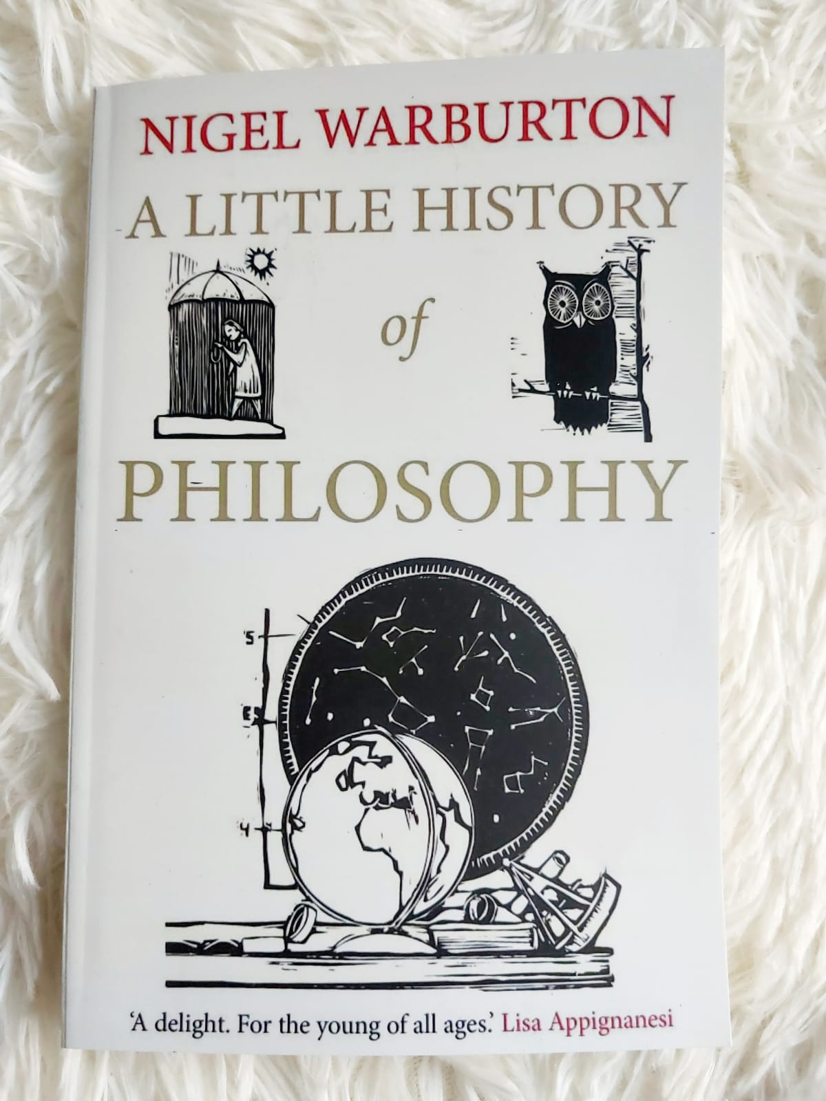 Picture of A Little History of Philosophy (Little Histories) by Nigel Warburton (Premium Quality - Paperback)