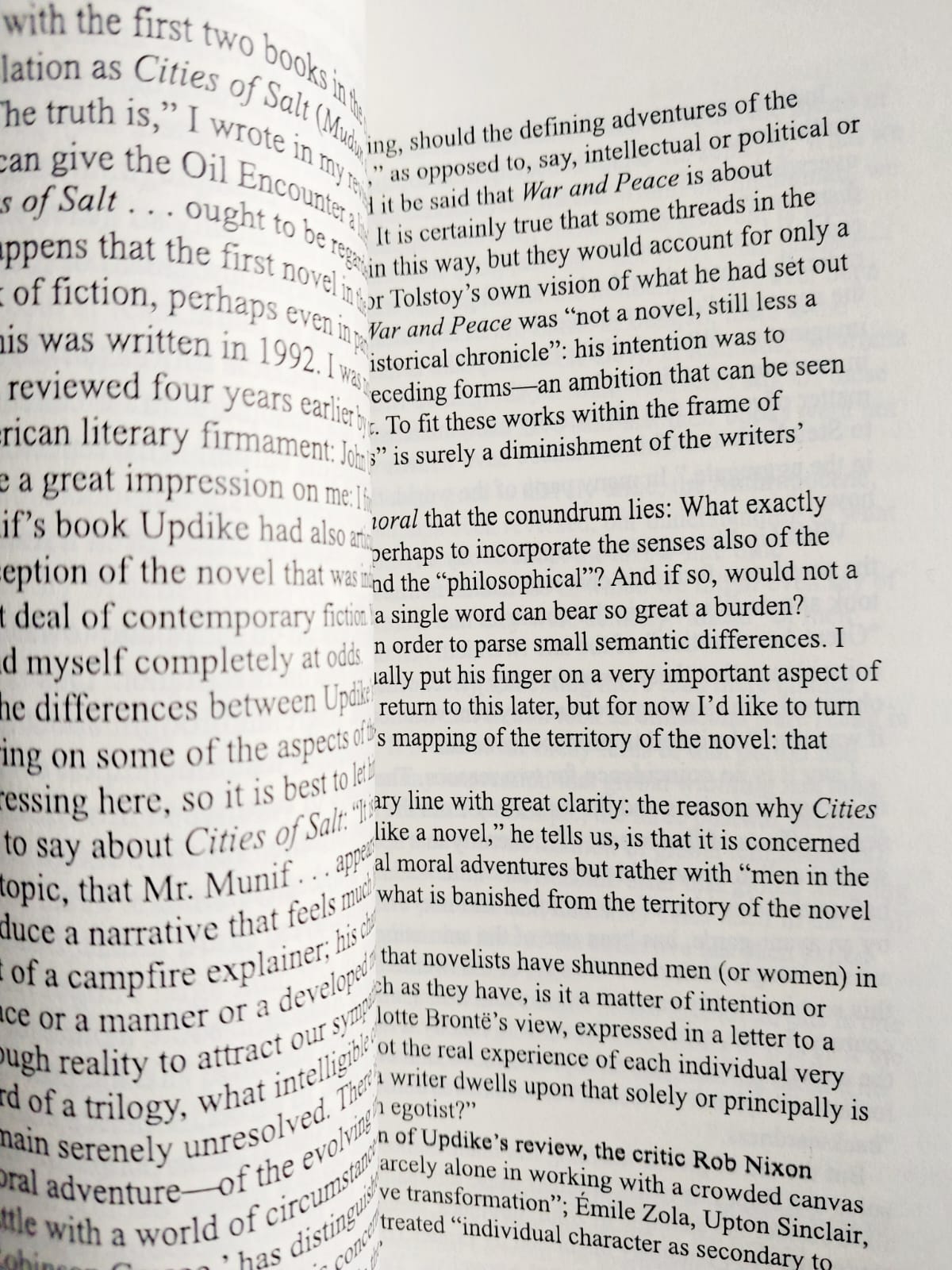 Picture of The Great Derangement: Climate Change and the Unthinkable by Amitav Ghosh