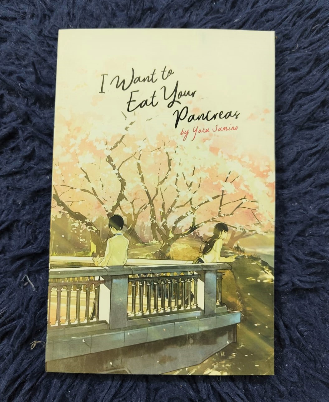 Picture of I Want to Eat Your Pancreas (Light Novel) by Yoru Sumino - Premium - Paperback