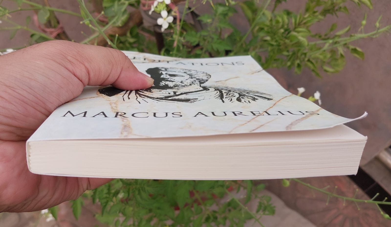 Picture of Meditations by Marcus Aurelius translated by Gregory Hays - Premium - Paperback