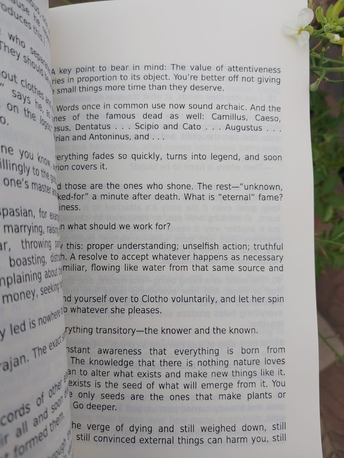 Picture of Meditations by Marcus Aurelius translated by Gregory Hays - Premium - Paperback