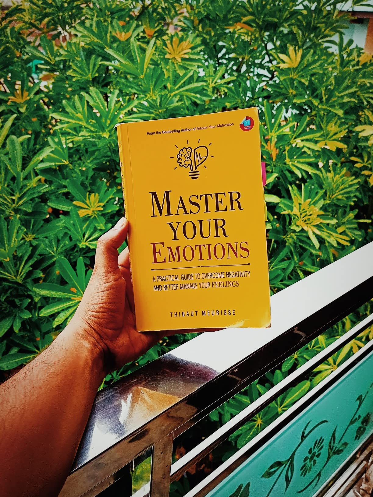 Picture of Master Your Emotions by Thibaut Meurisse - Premium Quality - Paperback