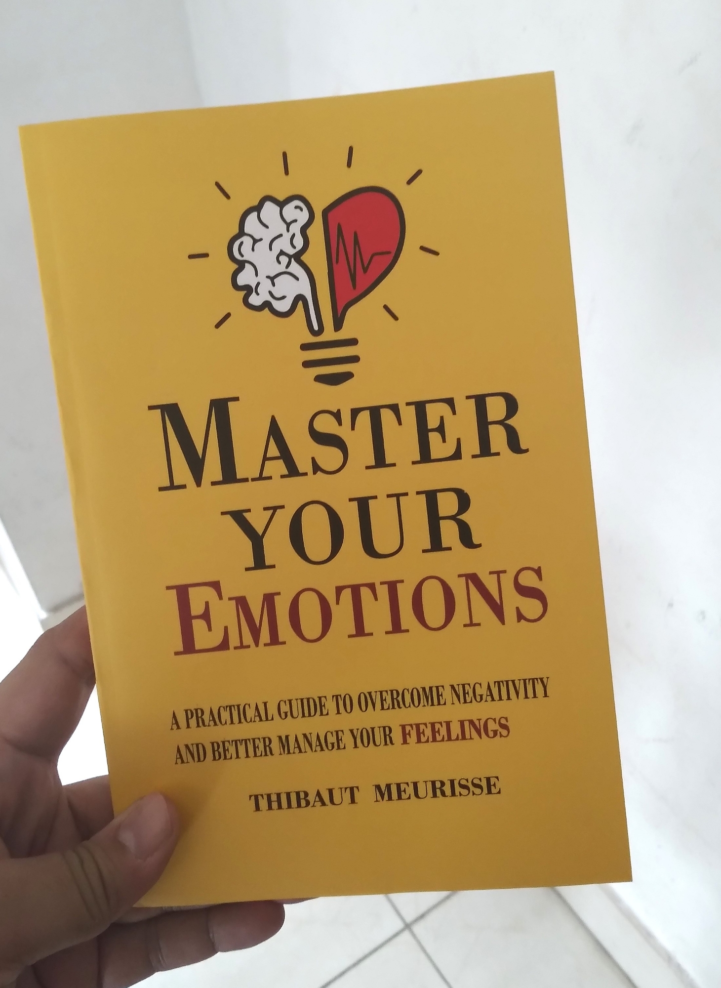 Picture of Master Your Emotions by Thibaut Meurisse - Premium Quality - Paperback