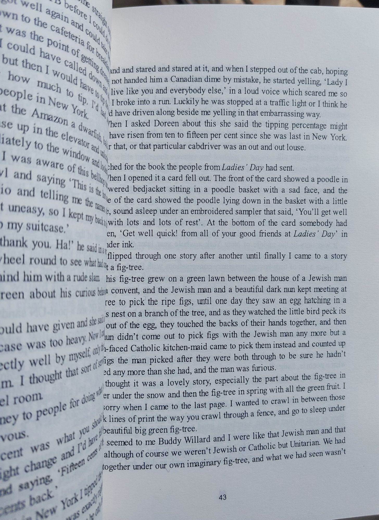 Picture of The Bell Jar by Sylvia Plath - (Premium Paperback)