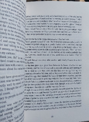 Picture of The Bell Jar by Sylvia Plath - (Premium Paperback)