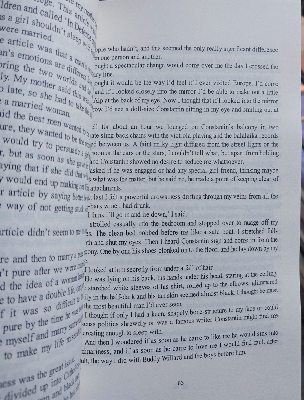 Picture of The Bell Jar by Sylvia Plath - (Premium Paperback)