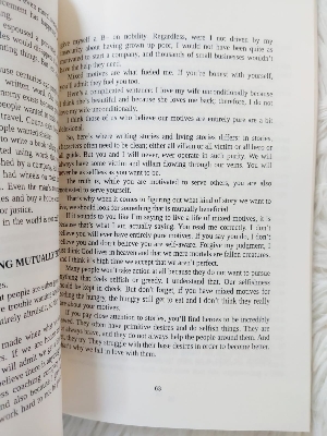 Picture of Hero on a Mission: A Path to a Meaningful Life Book by Donald Miller - Paperback