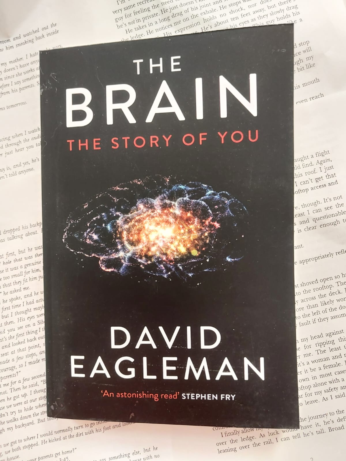 Picture of The Brain: The Story of You by David Eagleman - Paperback