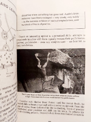 Picture of The Brain: The Story of You by David Eagleman - Paperback