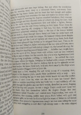 Picture of Set of 2 Books by Homer (The Odyssey & The Illiad) Translated by Robert Fagles - Paperback