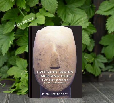 Picture of Evolving Brains, Emerging Gods: Early Humans and the Origins of Religion by E. Fuller Torrey - Paperback