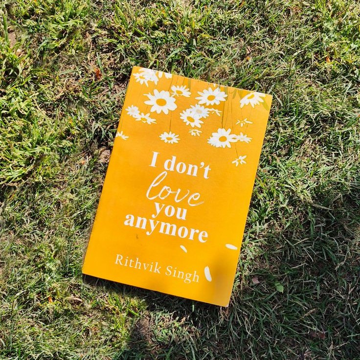 Picture of I Don't Love You Anymore Book by Rithvik Singh