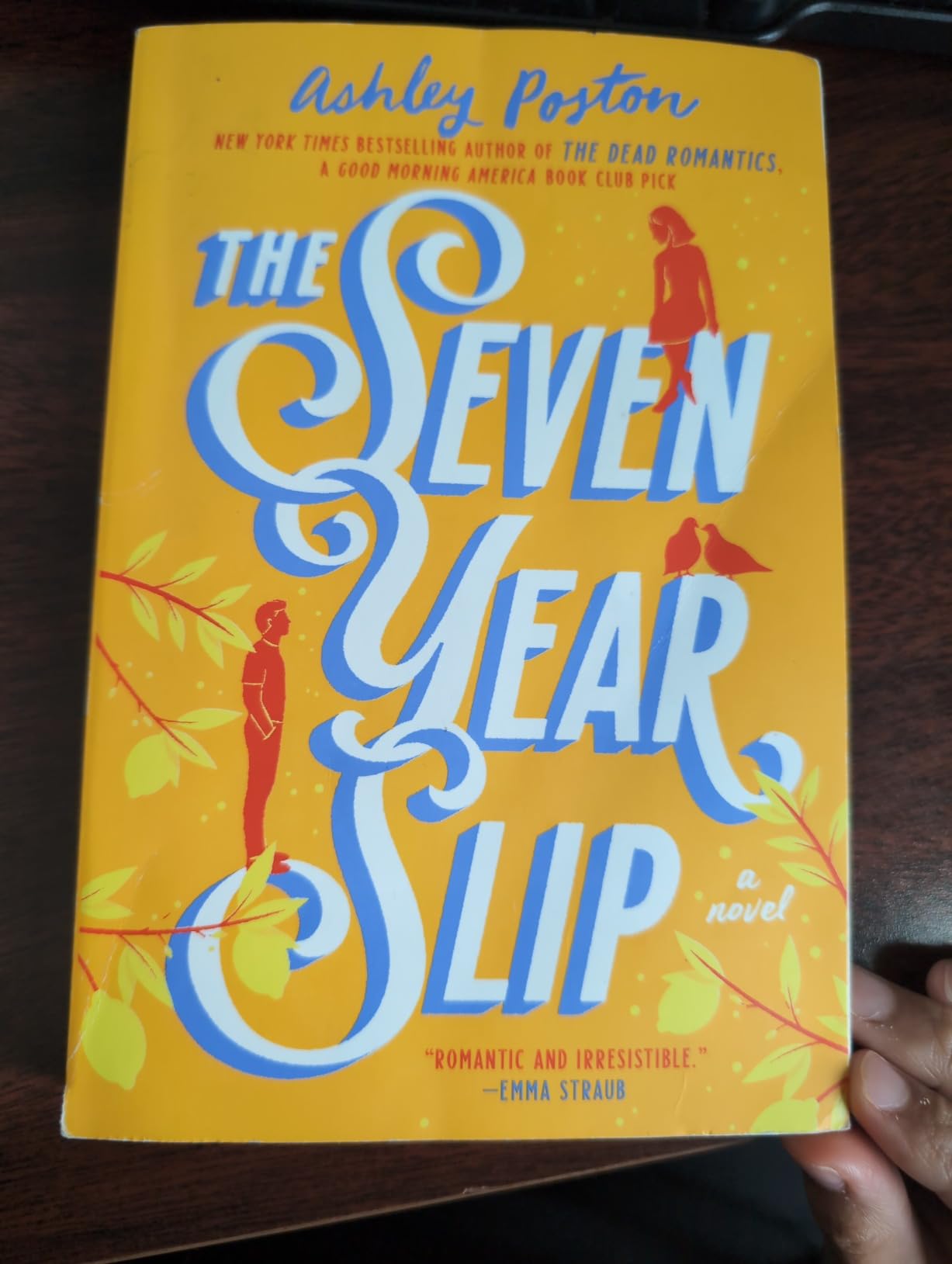 Picture of The Seven Year Slip Book by Ashley Poston - Paperback