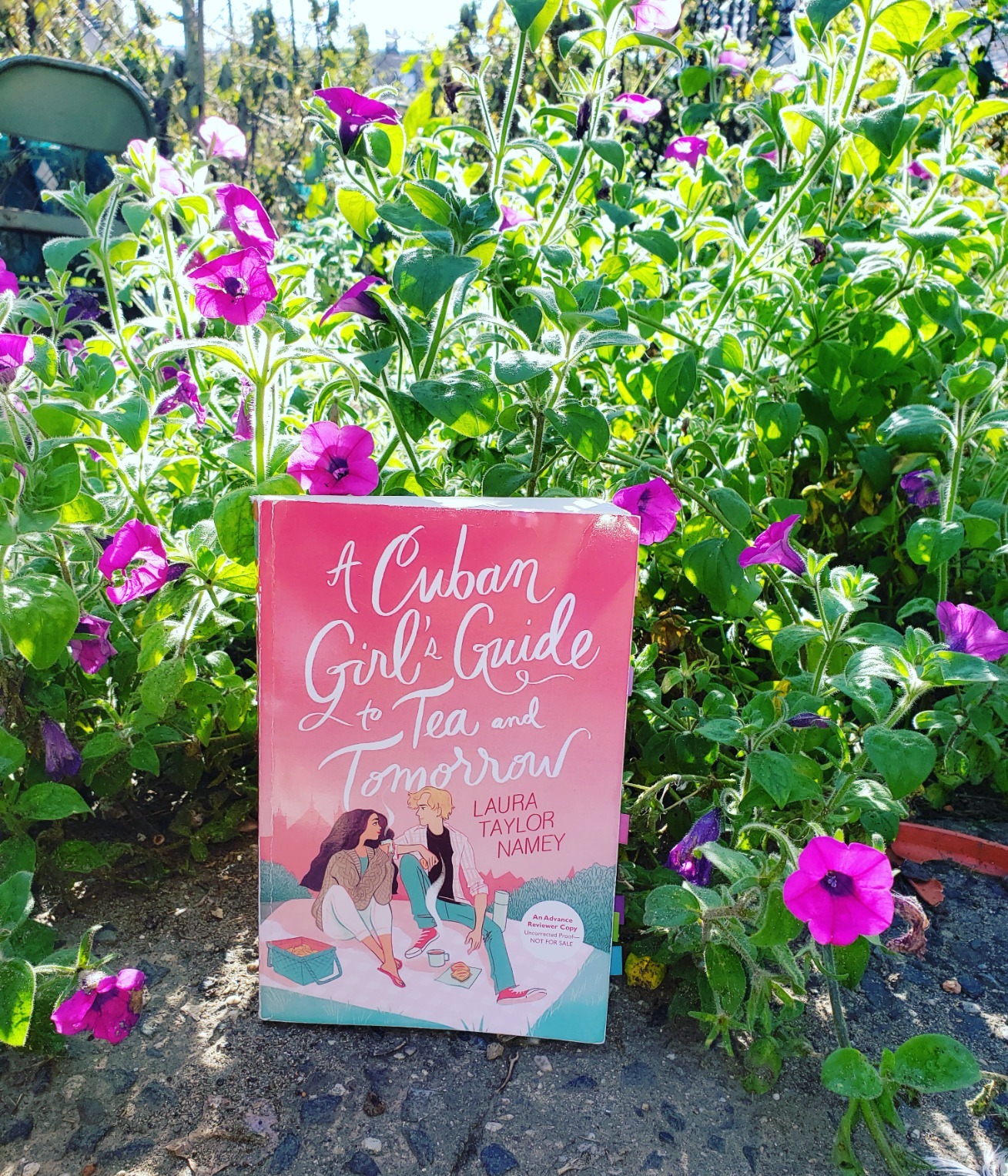 Picture of A Cuban Girl's Guide to Tea and Tomorrow by Laura Taylor Namey | Paperback