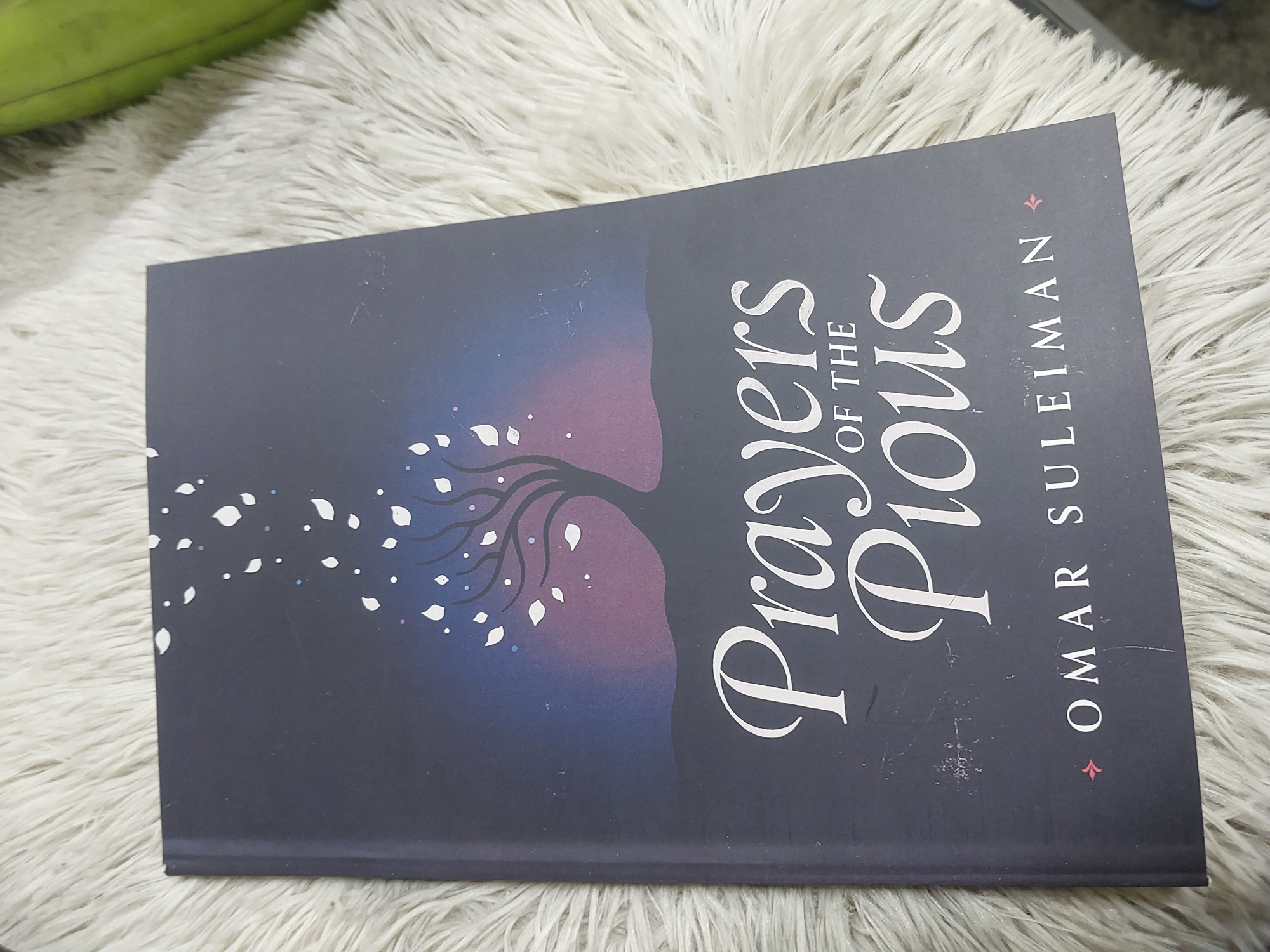 Picture of Prayers of the Pious by Omar Suleiman