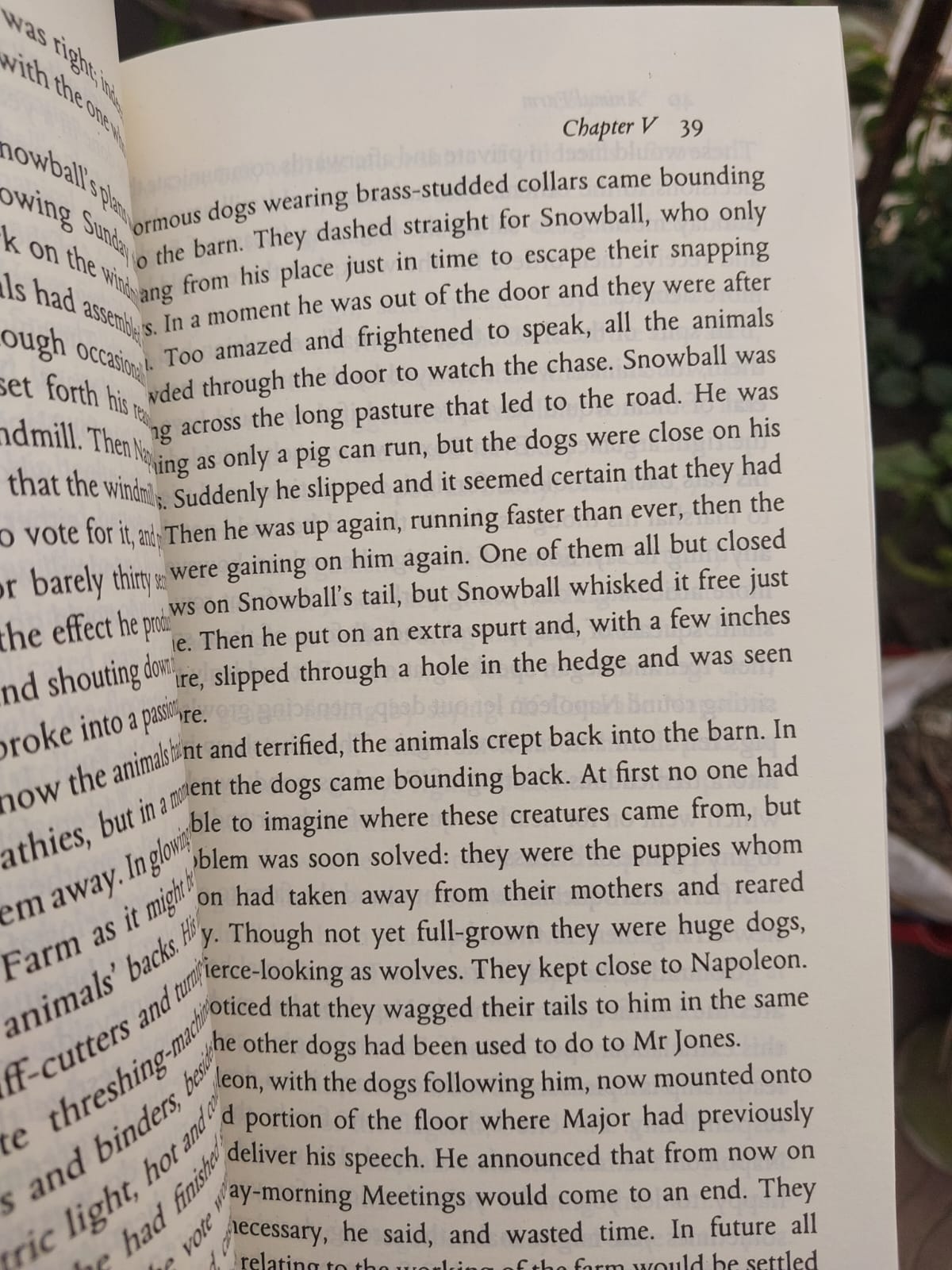 Picture of Animal Farm Book by George Orwell (Premium Paperback)