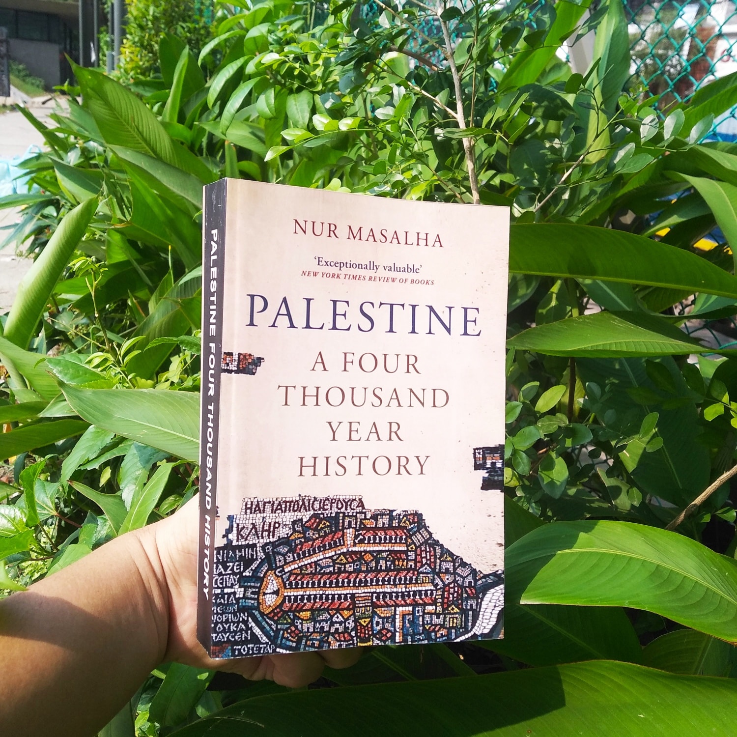 Picture of Palestine: A Four Thousand Year History Book by Nur-eldeen Masalha (Premium Quality Paperback)