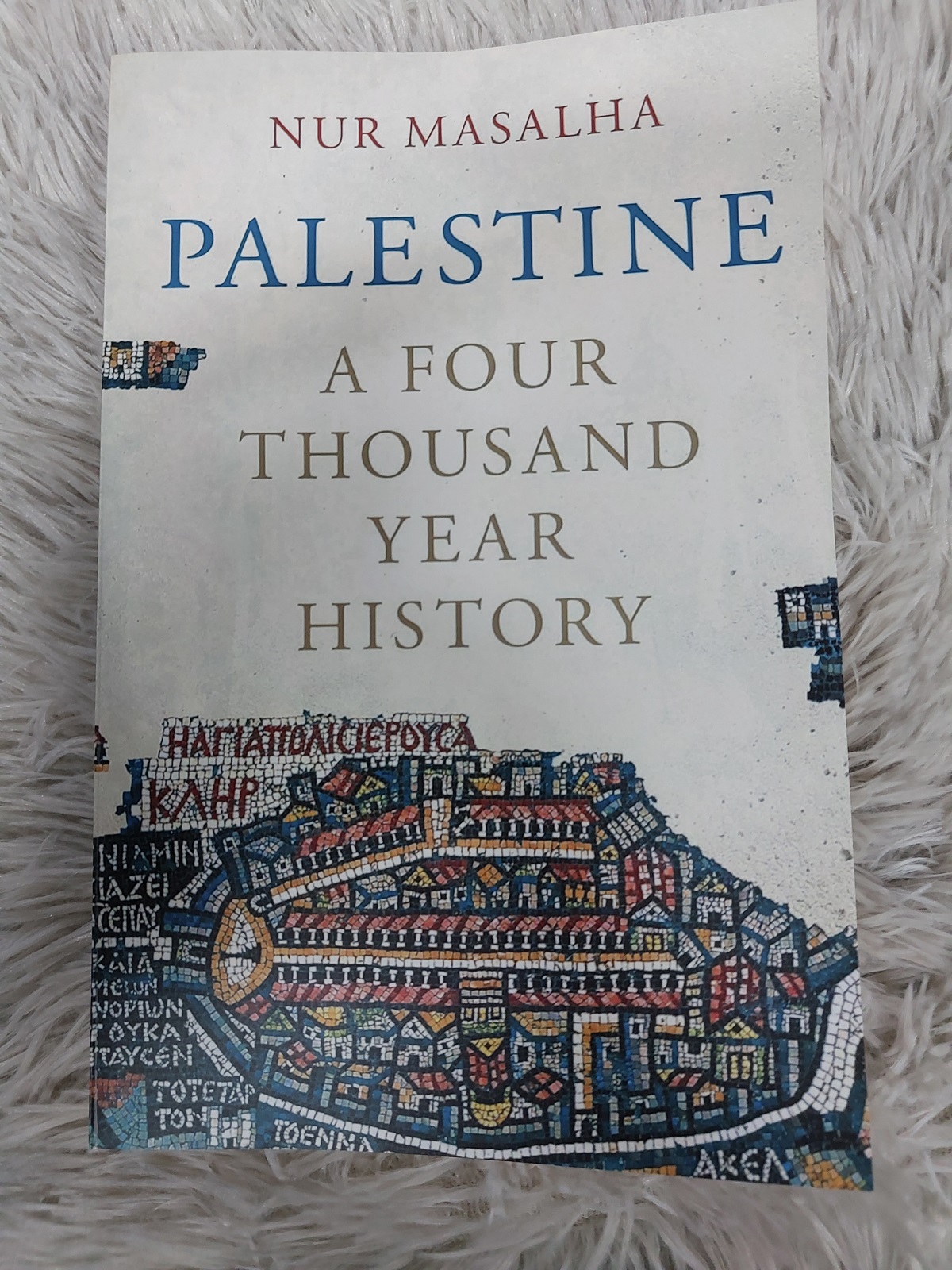 Picture of Palestine: A Four Thousand Year History Book by Nur-eldeen Masalha (Premium Quality Paperback)