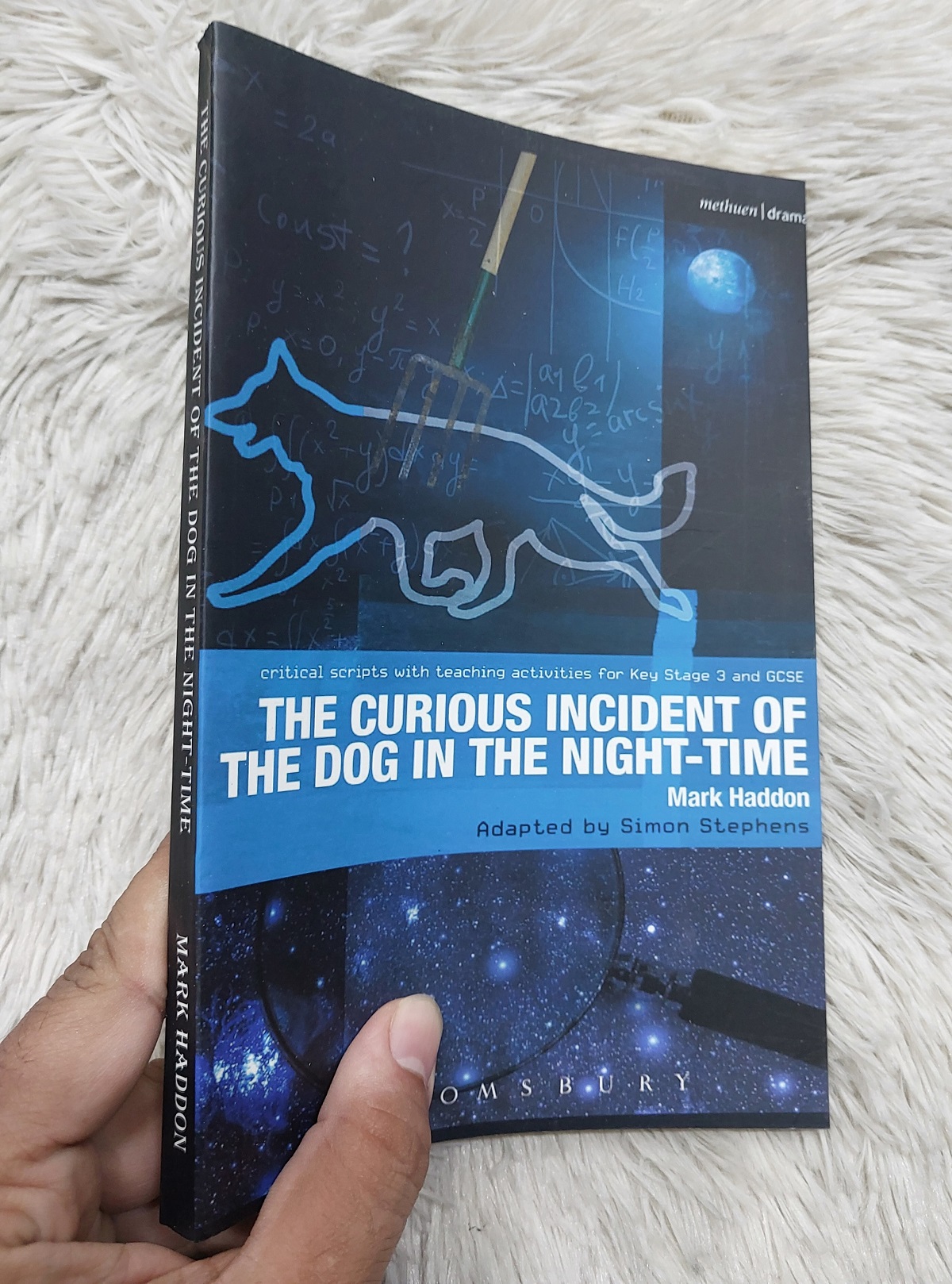 Picture of The Curious Incident of the Dog in the Night-Time by Mark Haddon (Paperback)