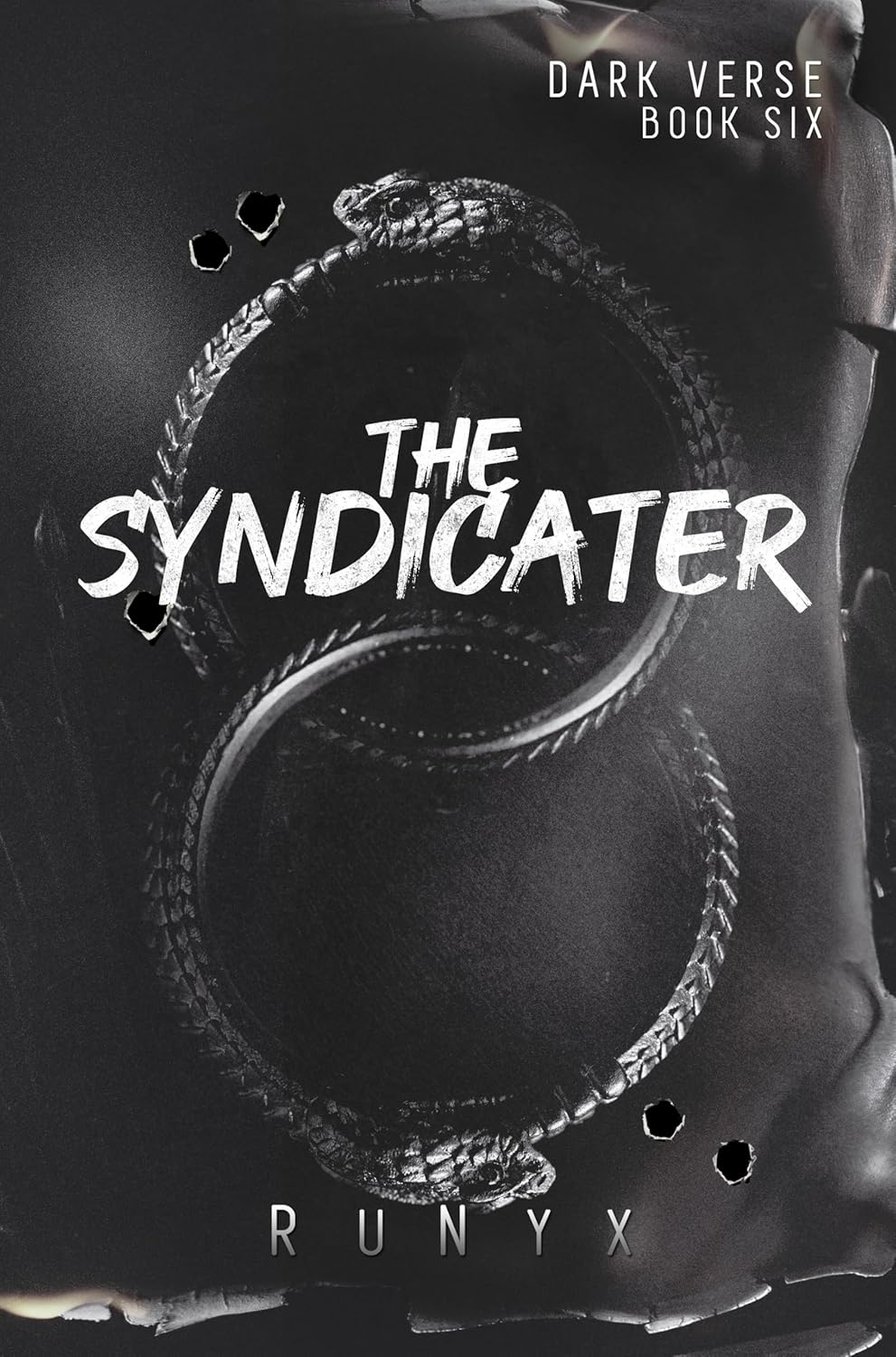 Picture of The Syndicater: A Dangerous Dark Romance (Dark Verse Book 6)  (Paperback, RuNyx)
