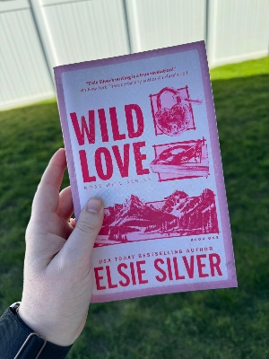 Picture of 2 Books Collection Set Elsie Silver (Wild Love & Wild Eyes - Premium Quality Paperback)