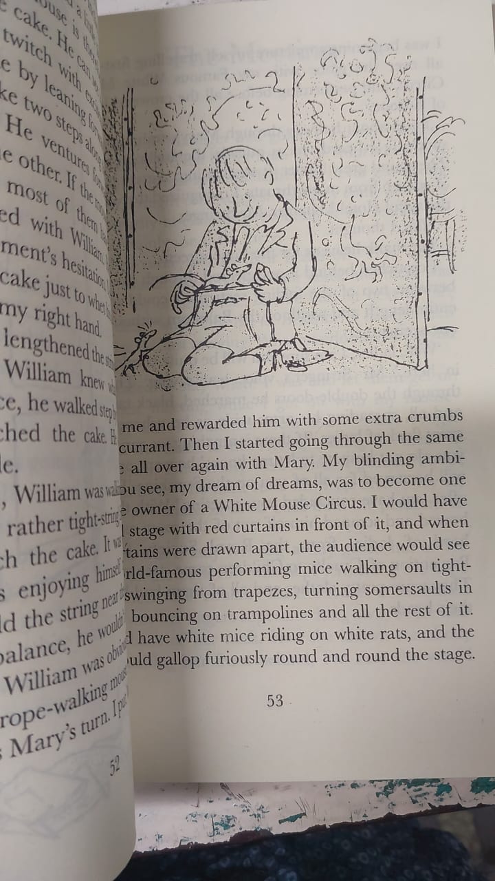 Picture of The Witches Novel by Roald Dahl (Yellowish - Paperback)